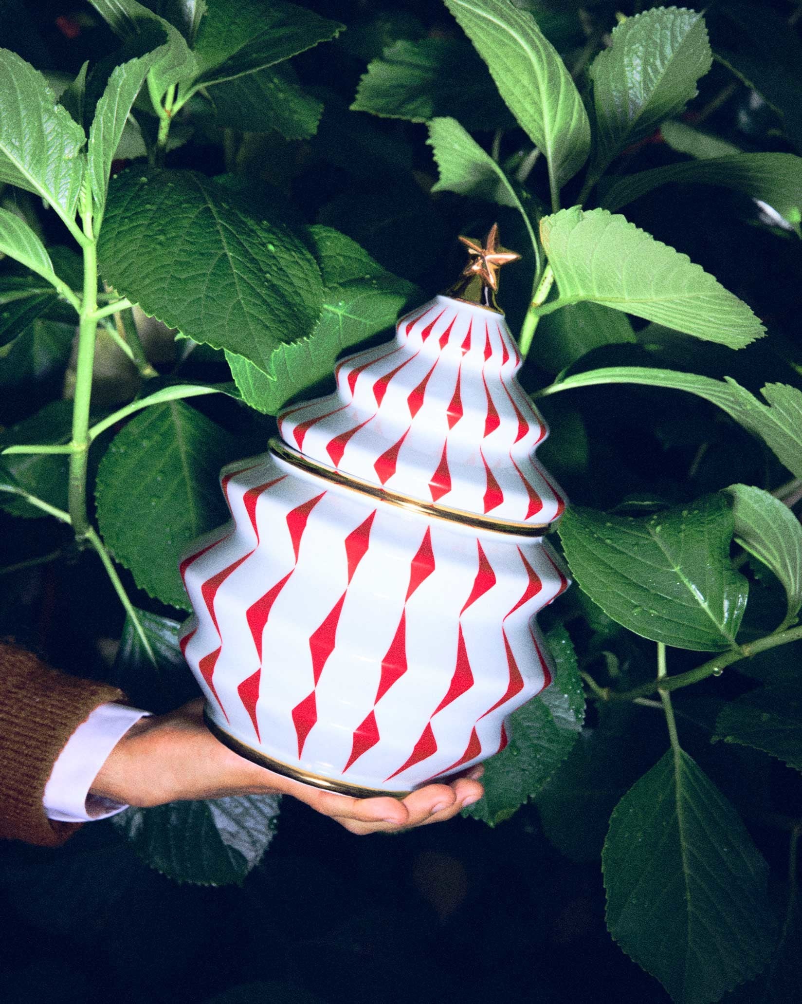 Delight Default Title Biscuit jar Alessi 1