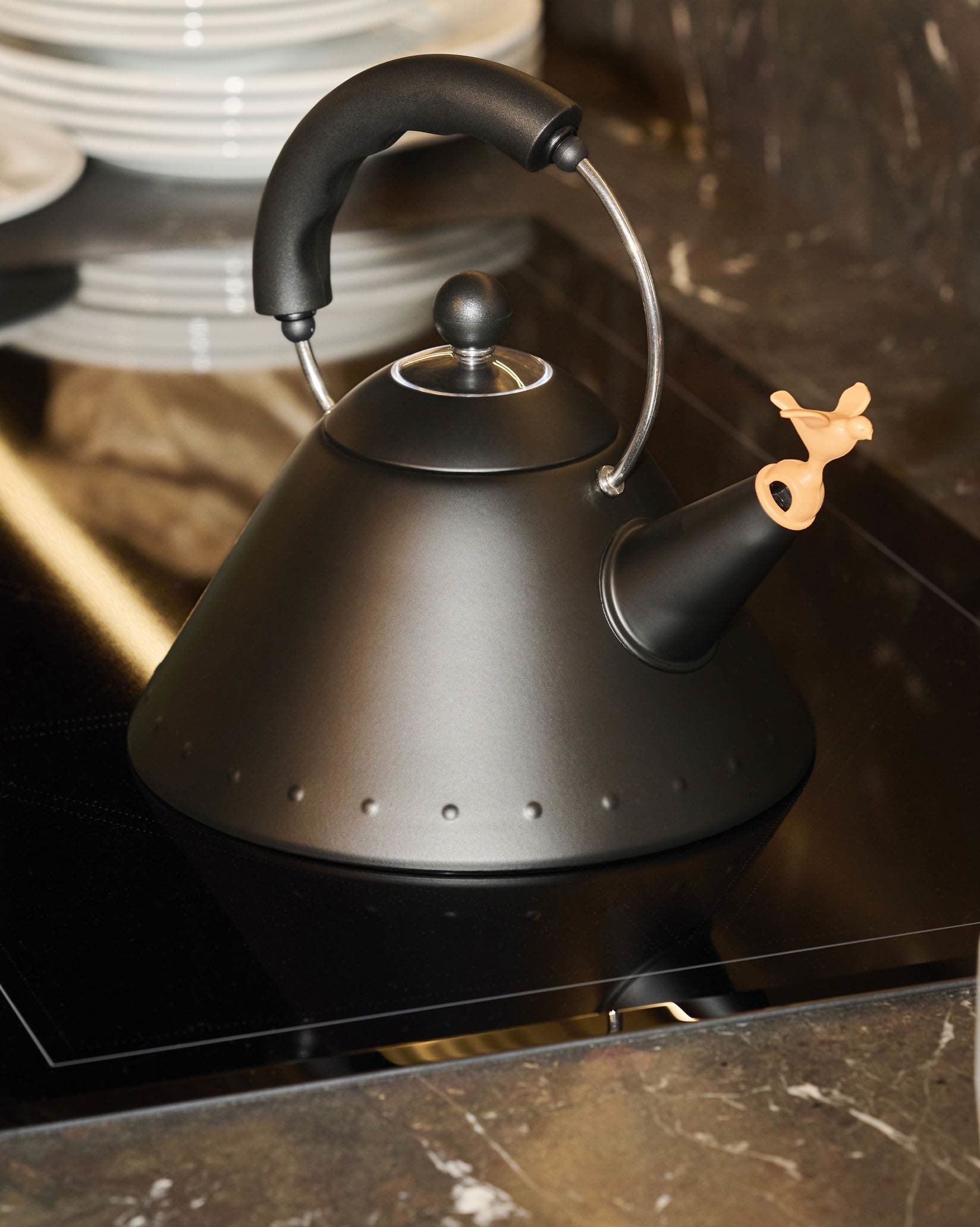 9093 Stainless Steel Kettle Designed by Michael Graves | Alessi