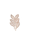 The Five Seasons Default Title Fragrance diffuser leaves. Shhh Alessi